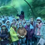 اردوی آکواریوم شهر بازی باغ پرندگان